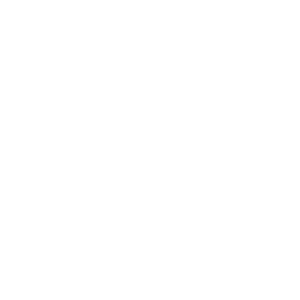 Hızlı Ve Güvenilir Transfer
